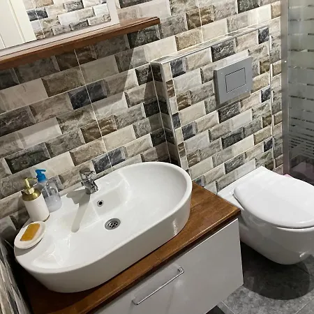 Caohome * シダ